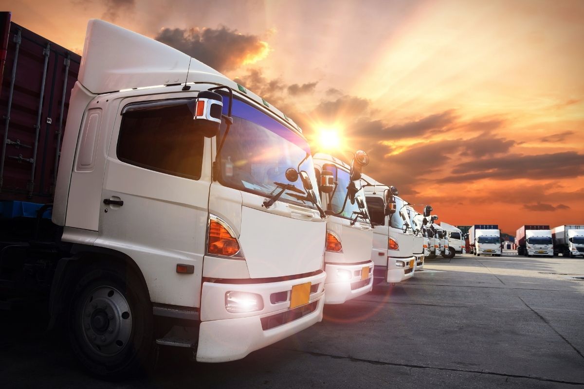 Supply Chain Optimisation Ltd - End to End Supply Chain Consultancy